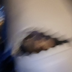 Indie and Rap Playlist👾