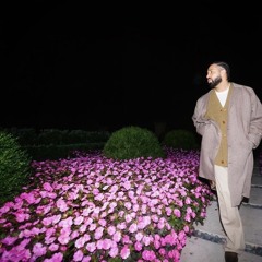 Designer Love (feat. Drake AI)