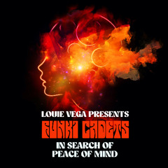 Louie Vega, Funki Cadets - In Search of Peace of Mind (LV Shapes Mix)