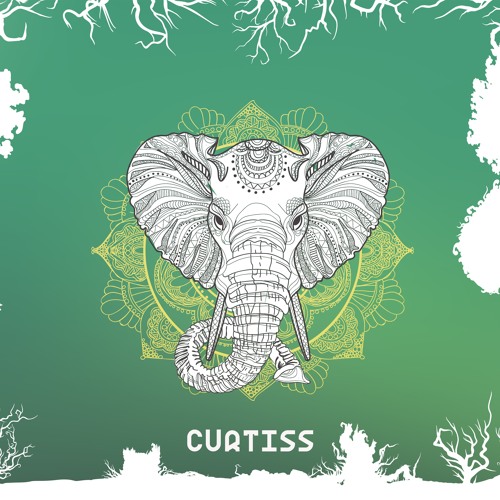 Epiphany Podcast #47 - Curtiss