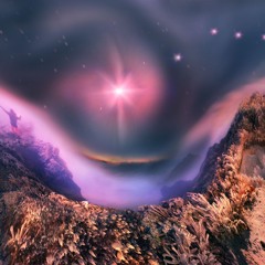 Reflections of Consciousness (with Laura Anderson)