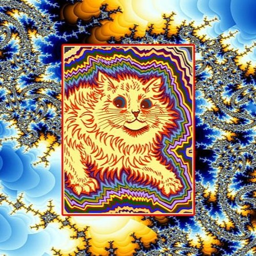 Unamed Cat In The Gaff