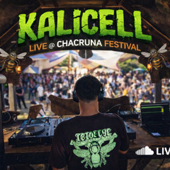 Kalicell Live @ Chacruna festival 2026