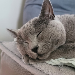 졸리지만 티타임.m4a