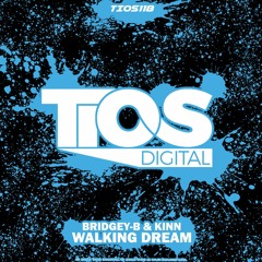 BRIDGEY - B & KINN - Waking Dream..OUT NOW