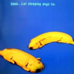 Slept on -Instrumental