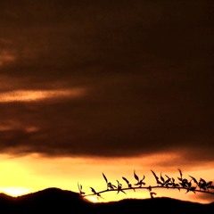 Into The Horizon