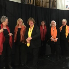 Orkney Aye Aye (OV2)