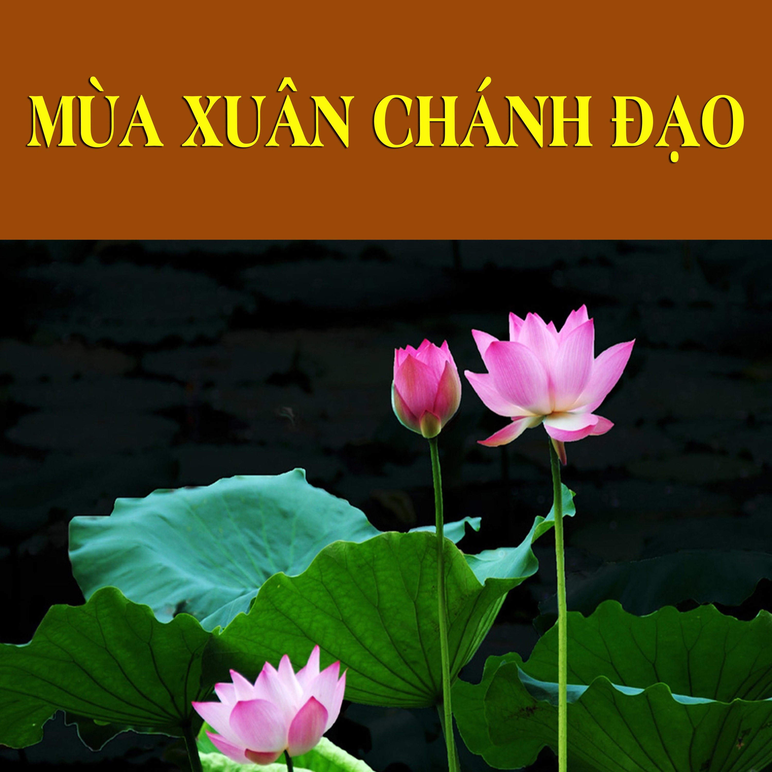 Thích Bảo Nguyên