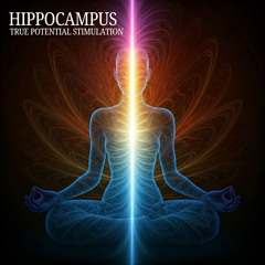 Focused Light Frequencies