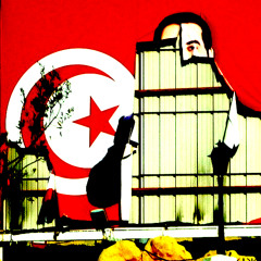 Les ruines de Carthage