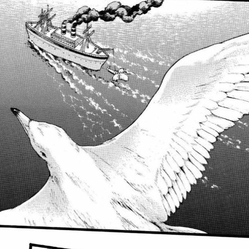 bird