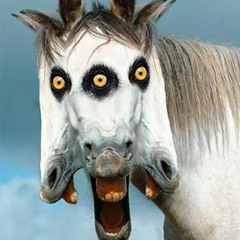 shiva - we're all ded