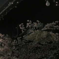 달맞이꽃 발매되었습니다