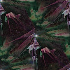 Sanguine Sounds w/ Switch Back Smith: 7th January '25