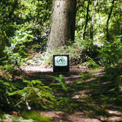 Arden (slow-key Remix)