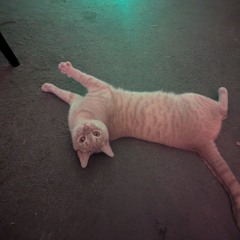 Nothing like you promised me