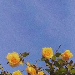 ☀️𝘚𝘶𝘮𝘮𝘦𝘳 𝘰𝘷𝘦𝘳𝘵𝘶𝘳𝘦 ☀️