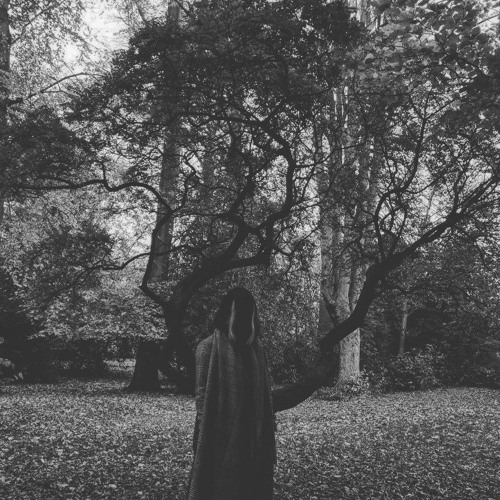 𝙰𝚂𝙰𝙳𝚅𝙽 - 𝙰𝙻