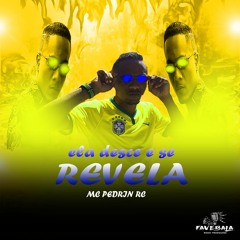 MC PEDRIN - ELA DESCE E SE REVELA - DJ'S CROCKER & G11 ( FAVEBALA )