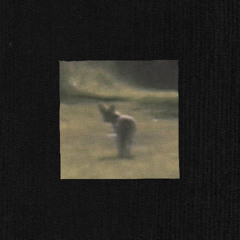 gnasher (w/ lorelei hager)