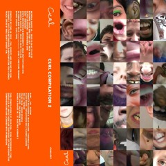 Daisy Moon - Reflections On A Flower-Garden (out now on CURL)