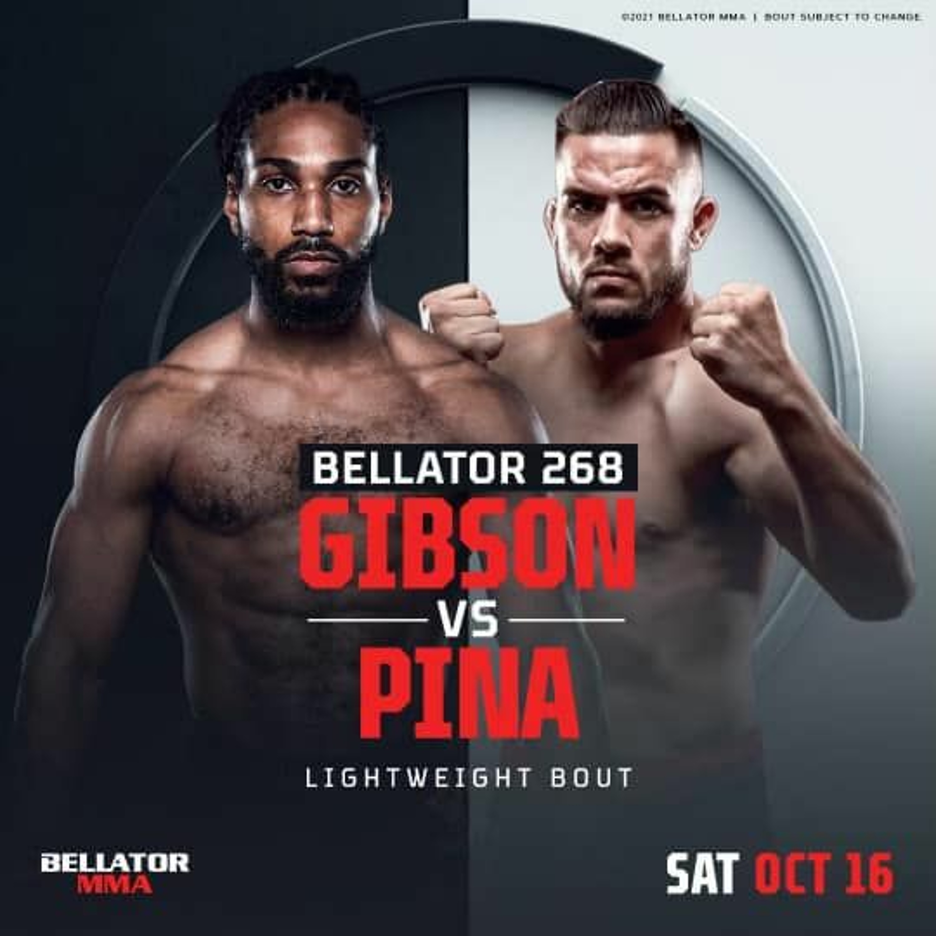 MMA Fight Coverage