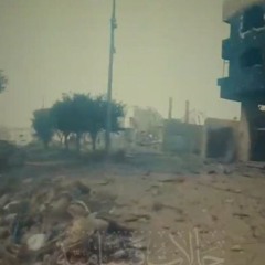 أُسد أباة