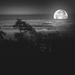 Ashot Danielyan - Anxious Night (Pianobook - Isolation Piano)