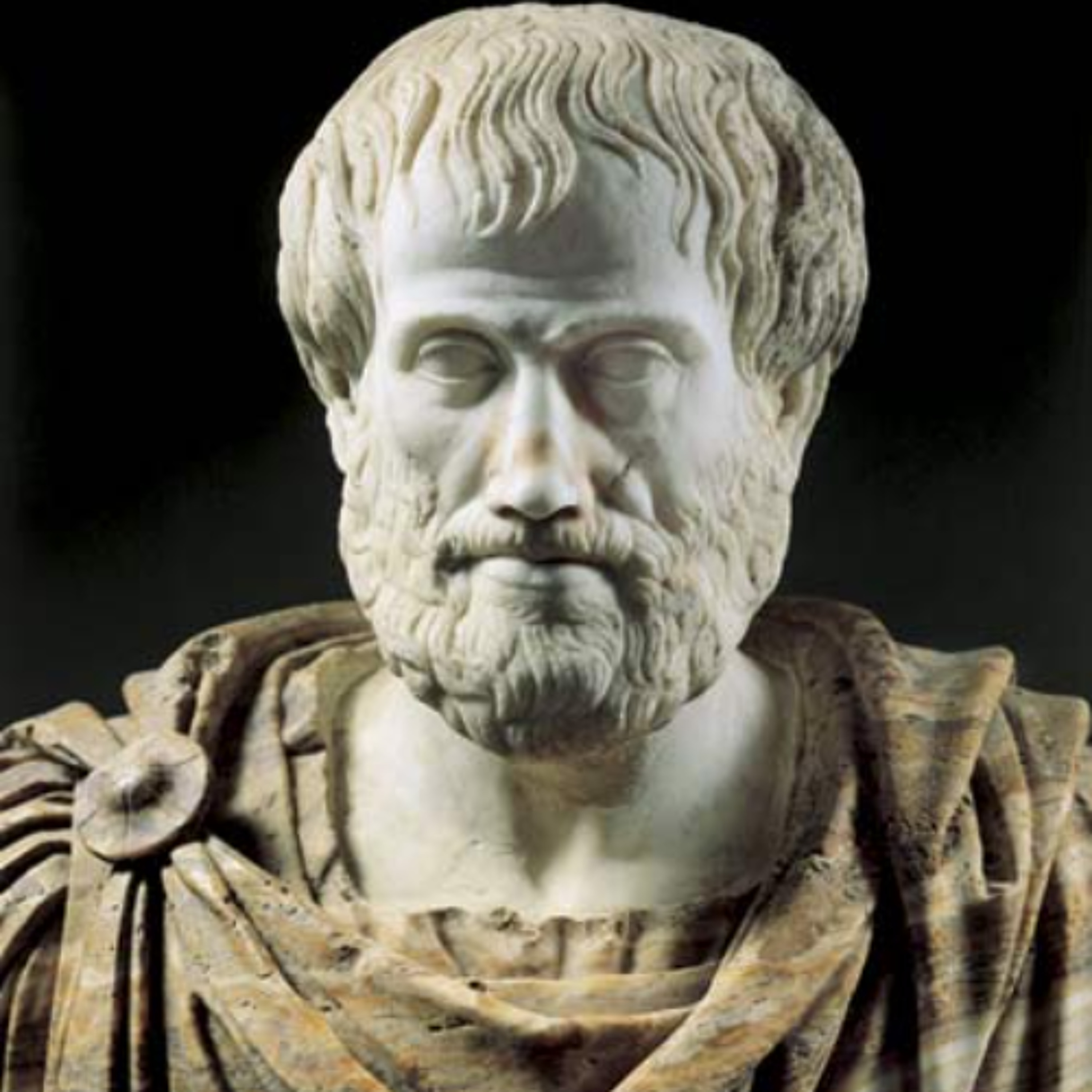 Aristotle, On Interpretation - Necessity, Contradictories, and Contraries - Sadler's Lectures