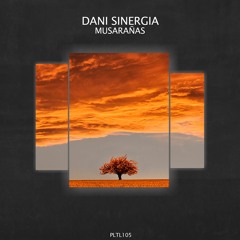 Dani Sinergia - Musarañas