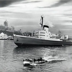 01 04 03 Glace - Coque