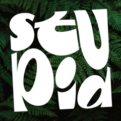 Stupid Session 05 | Stupid Crew DJ Set