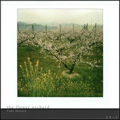 the flower orchard (Anoice / Yuki Murata '24 Piano Sketches')