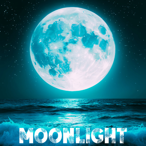 Moonlight
