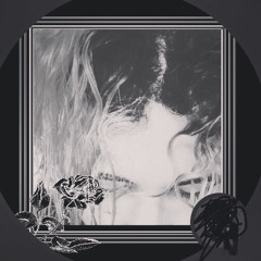 moth