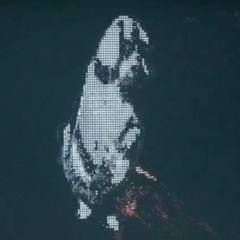 dogs bday (hbd falkor)