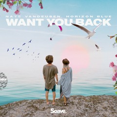 Nate VanDeusen & Horizon Blue - Want You Back