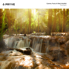 The Calm Before the Storm