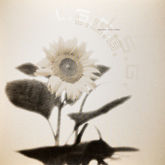 L.S.G. - Fontana (Processed Mix)