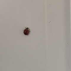 me siento sola.. pero no lo estoy.