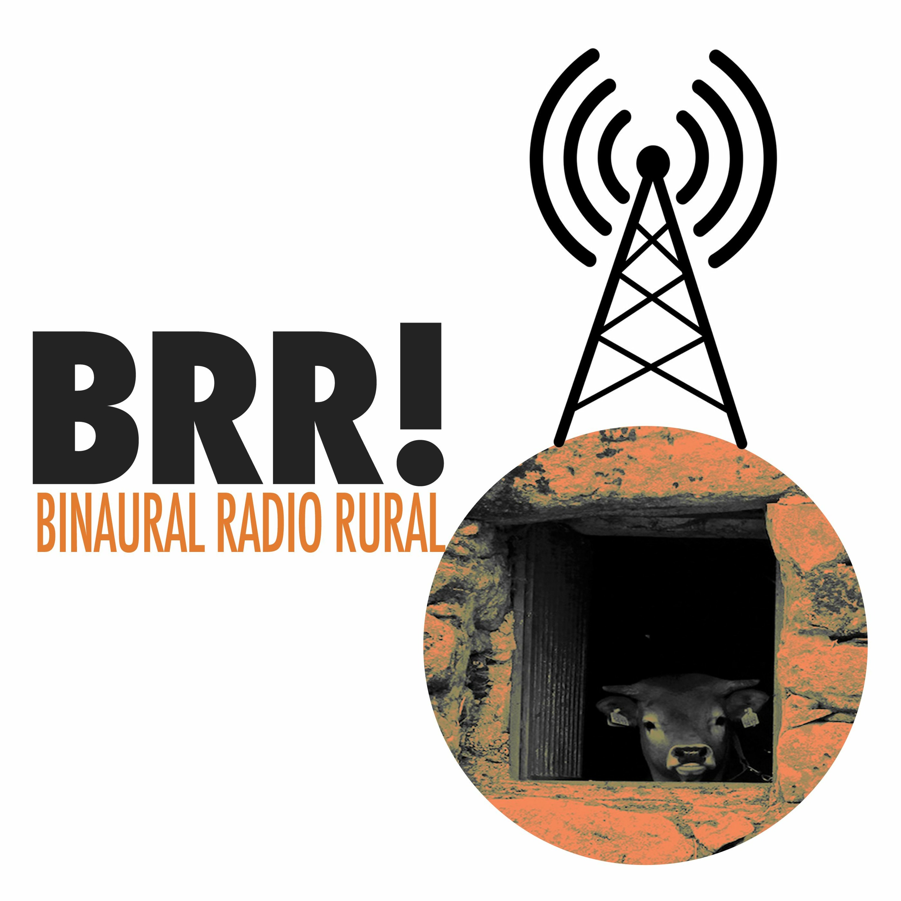 Binaural Radio Rural: A podcast around rural sounds and archives