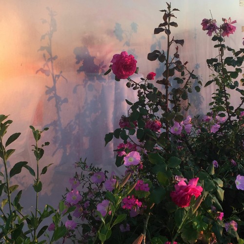 do you still love me?