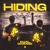 Artwork for Dual Damage - Hiding