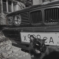 ЛИТВИНЕНКО - Рэпак