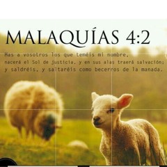 Malaquías 4:2. 🌺🌱🌷 Malachi 4:2 🌹🎻🎶