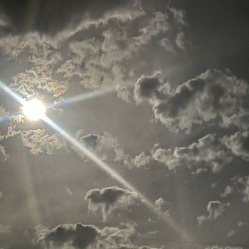 don’t go prod: shvde