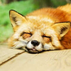 Bodyscan - Je Mag Je Laten Dragen