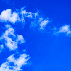 In My Garden (Demo)