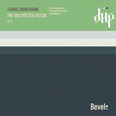 FULL PREMIERE : Jannis Brinkmann – The Unexpected Visitor [Bevel Records]